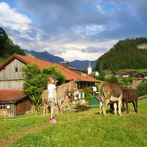 Haus Willi Apartment